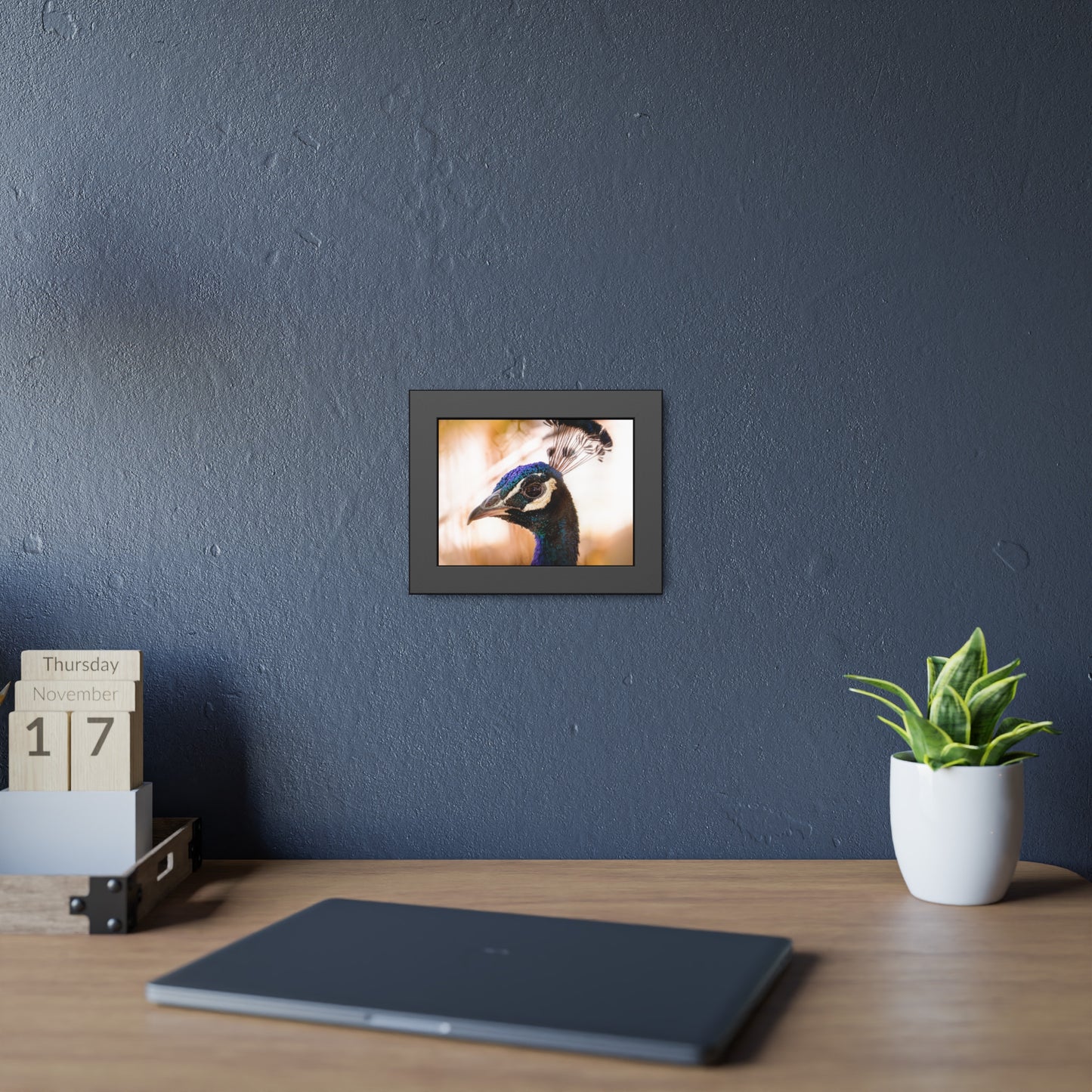 Peculiar Peacock Framed Print | Nature Photography