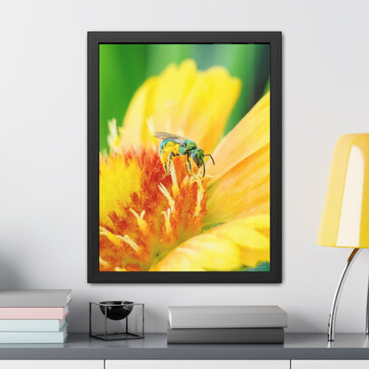 Metallic Green Bee Framed Fine Art Photograph