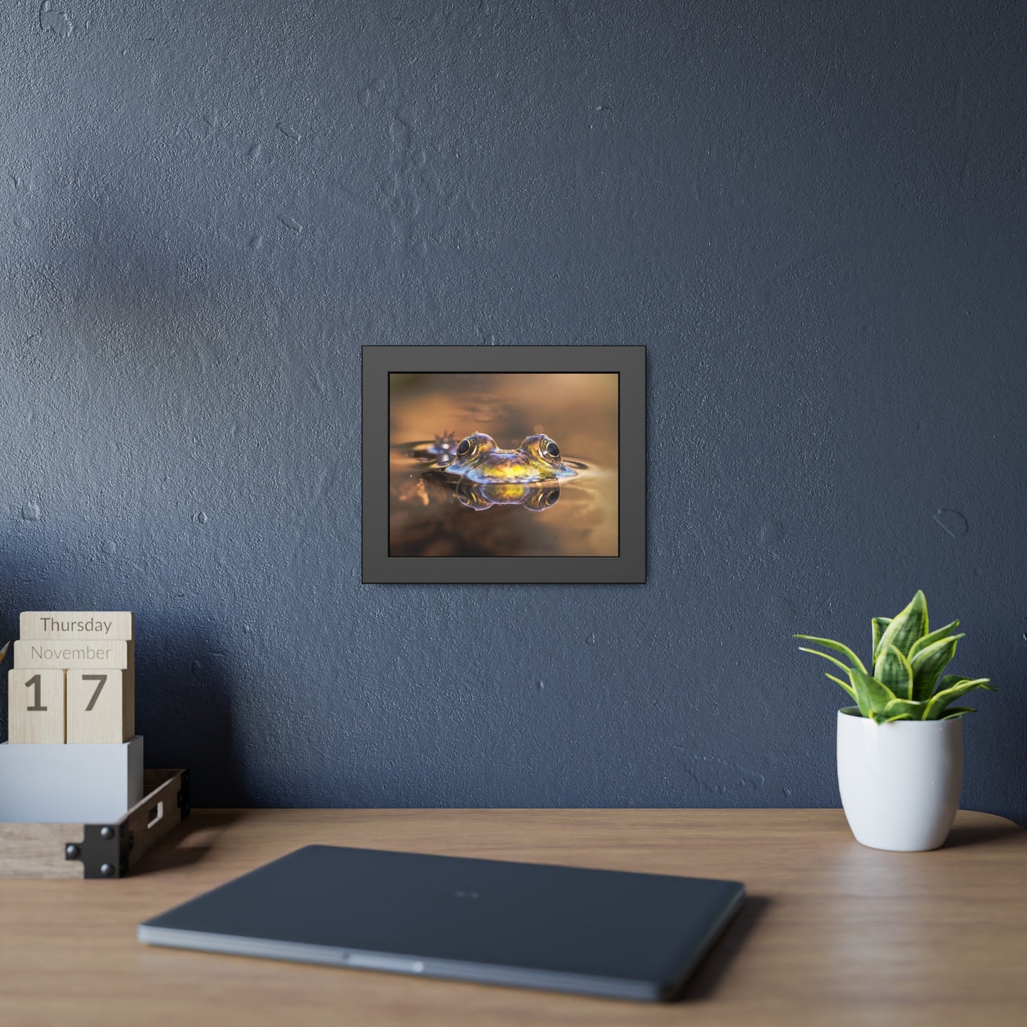 Duality of Frog Framed Print | Nature Photography