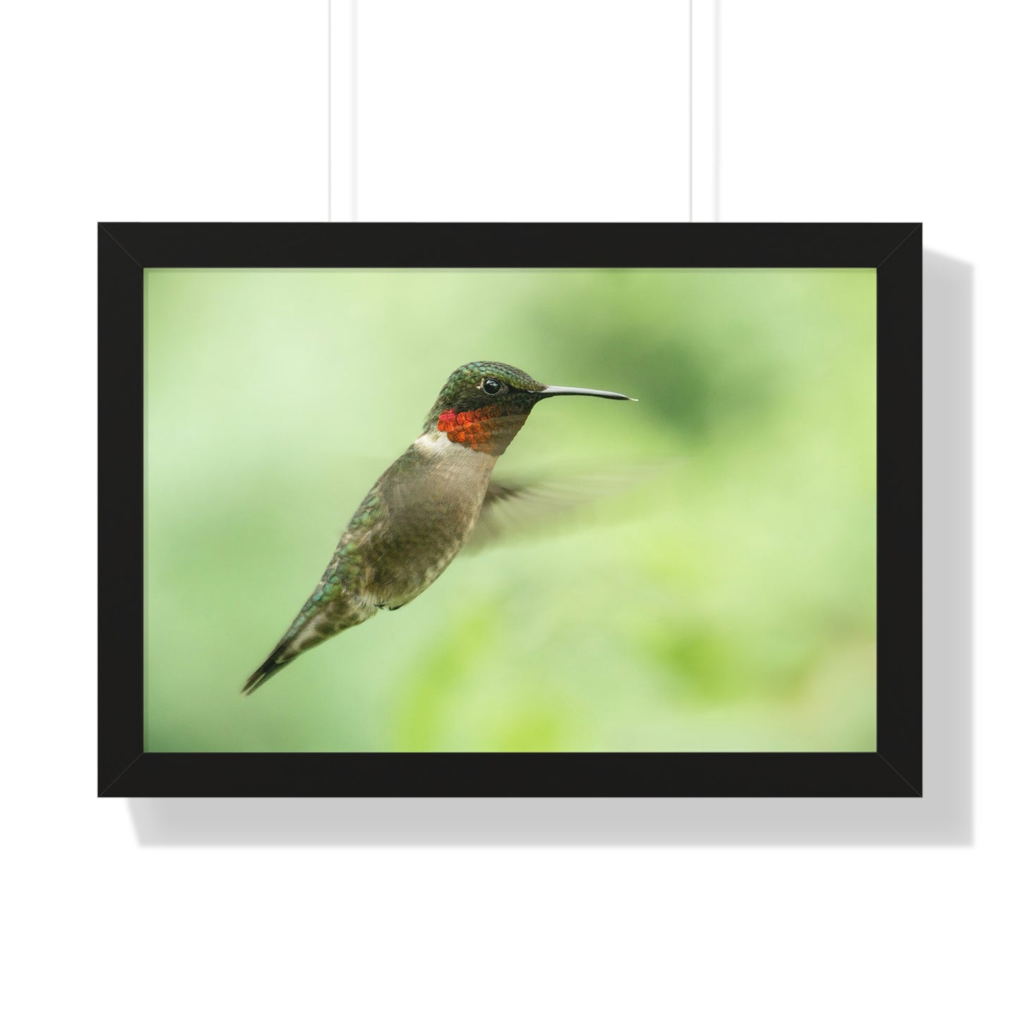 Hummingbird In-Flight Framed Matte Print