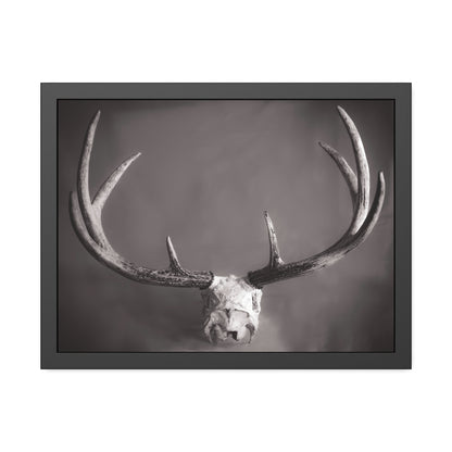 Ghosts of Deers Past Framed Print | Nature Photography