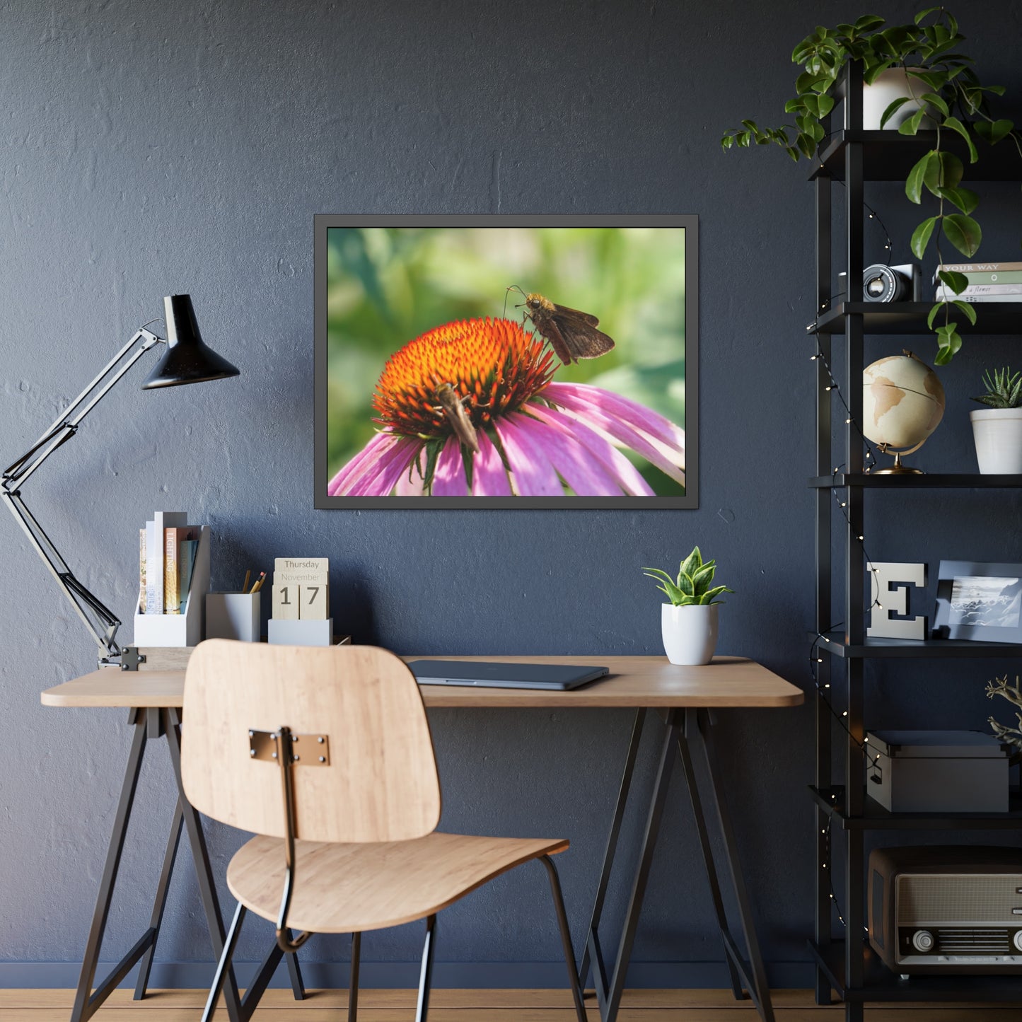 Little Glassywing Butterfly Framed Print | Nature Photography