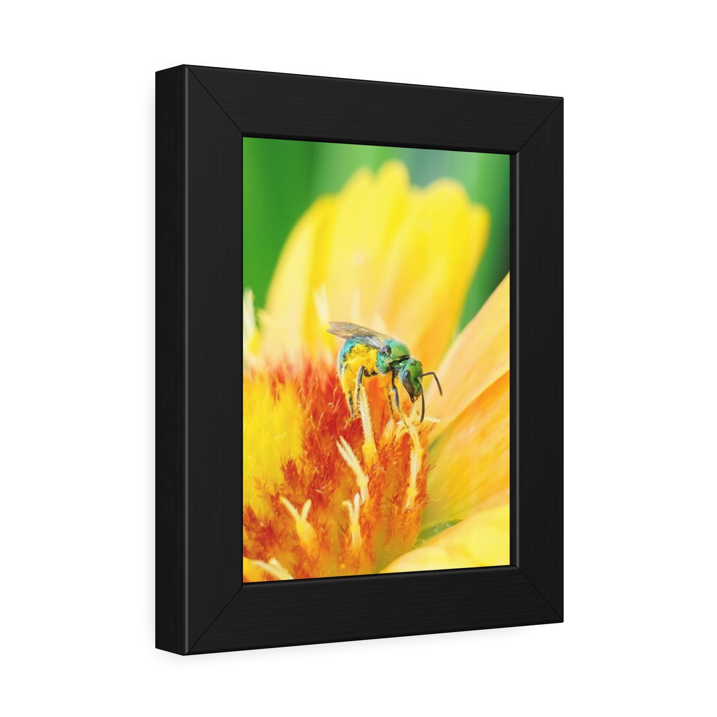 Metallic Green Bee Framed Print | Nature Photography