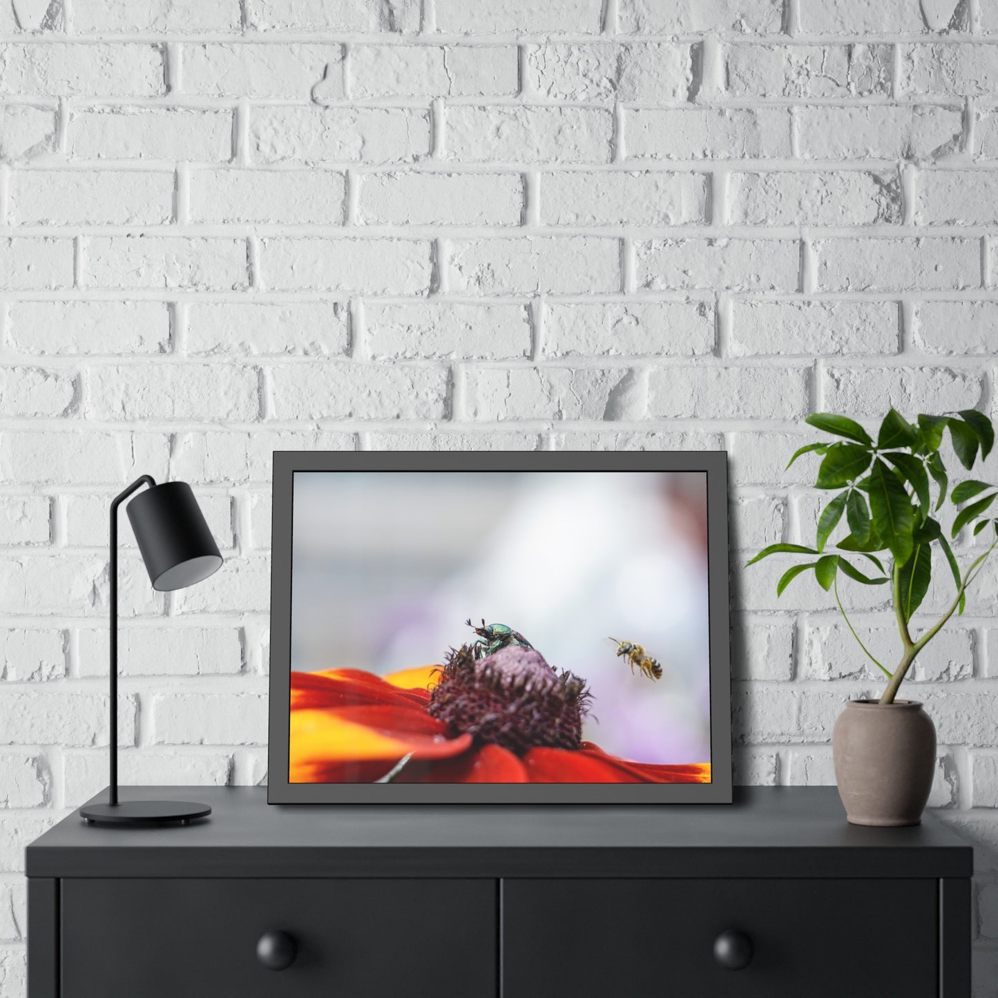 Japanese Beetle and Honey Bee Framed Print | Nature Photography