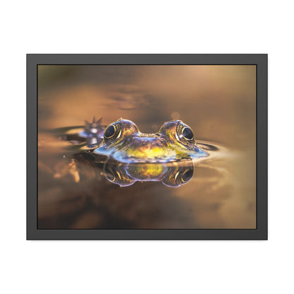 Duality of Frog Framed Print | Nature Photography