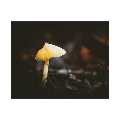 Mystical Magical Mushroomland Fine Art Print