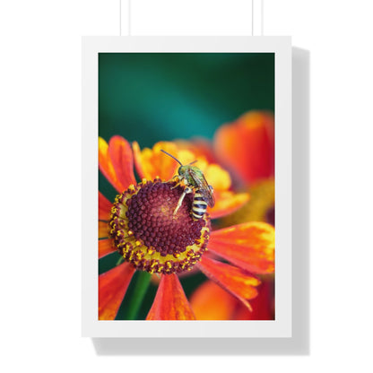 Fashionable Sweat Bee Framed Matte Print