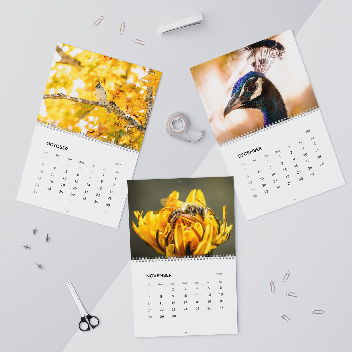 October through December pages of the Critters of Whimsy 2027 wall calendar, featuring a tufted titmouse bird among yellow leaves, a bee, and a peacock