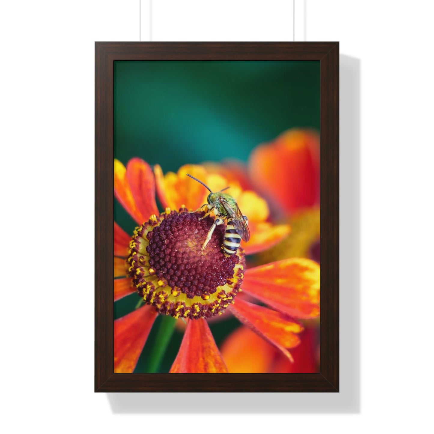 Fashionable Sweat Bee Framed Matte Print