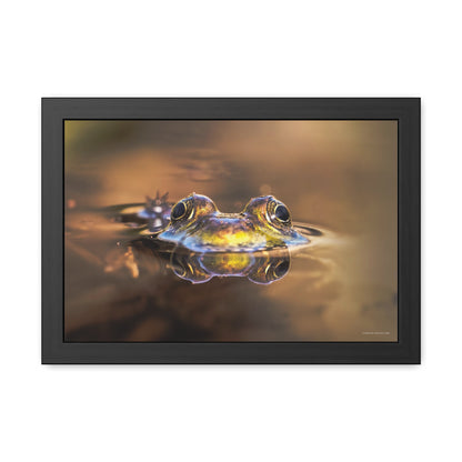 Duality of Frog Framed Fine Art Photograph