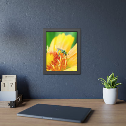 Metallic Green Bee Framed Print | Nature Photography