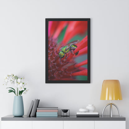 Beautiful Green Bee Framed Matte Print