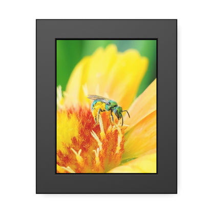 Metallic Green Bee Framed Print | Nature Photography