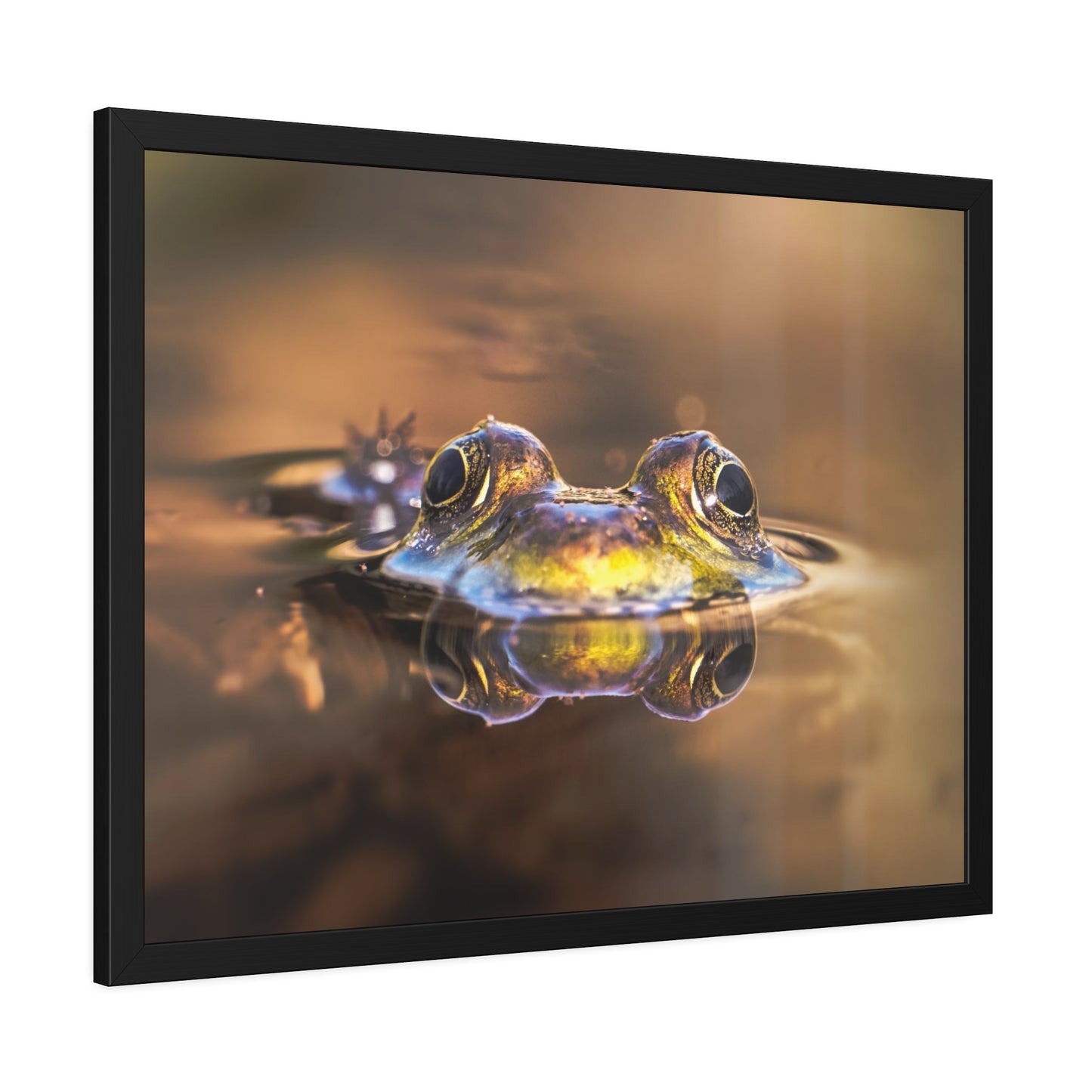 Duality of Frog Framed Print | Nature Photography