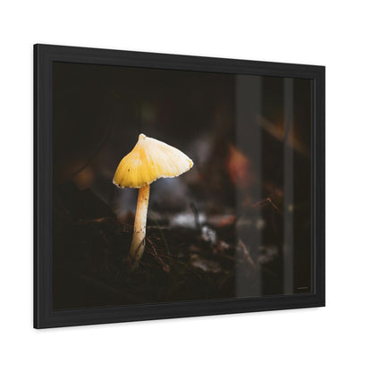 Mystical Magical Mushroomland Framed Fine Art Photograph