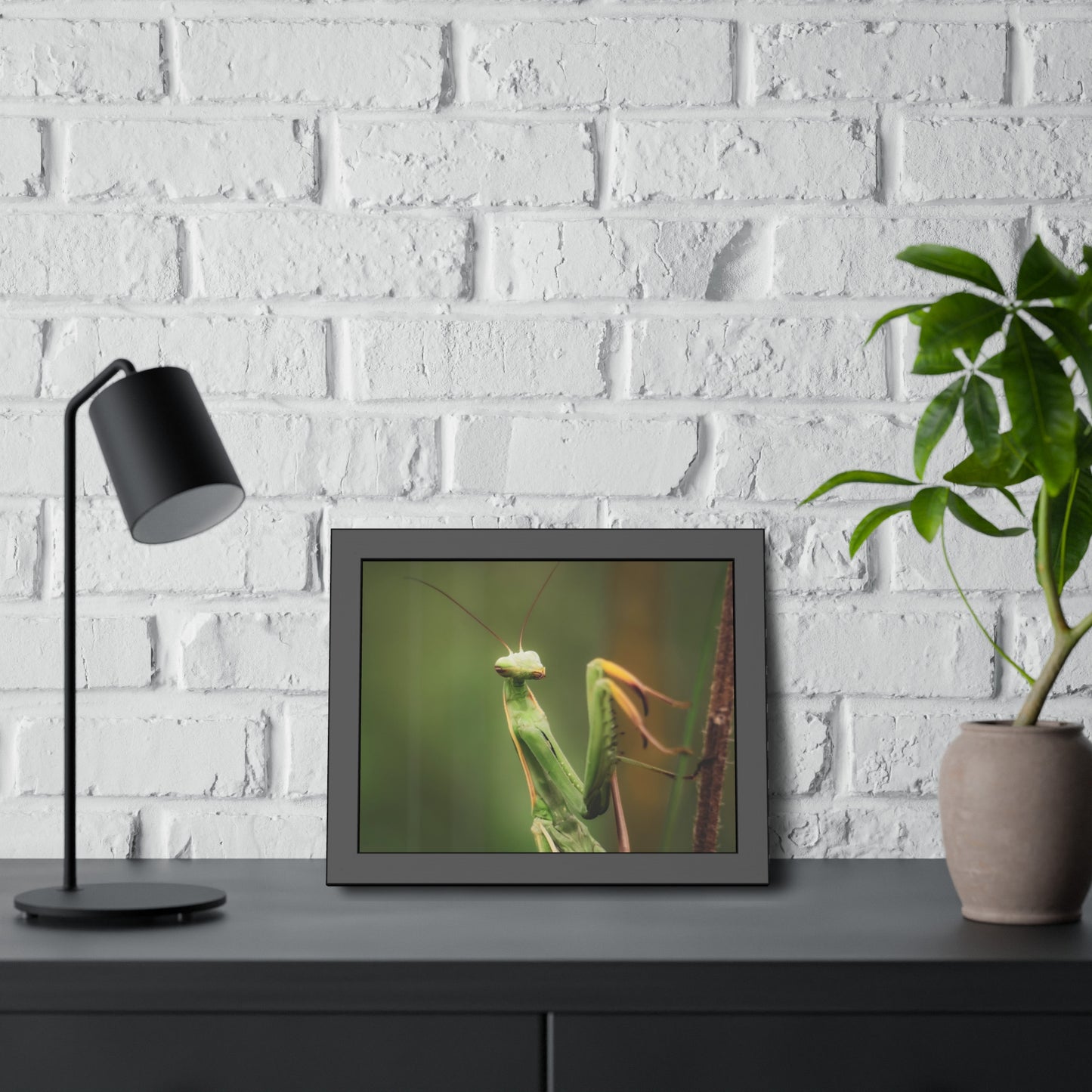 Majestic Mantis Framed Print | Nature Photography