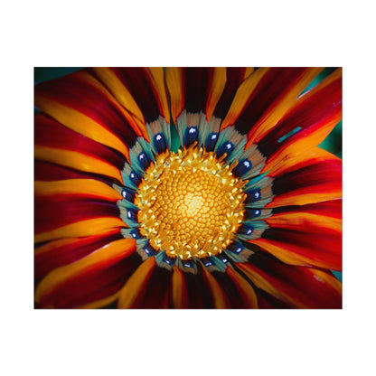 Vibrant Macro Flower Fine Art Print