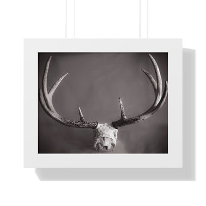 Ghosts of Deers Past Framed Matte Print