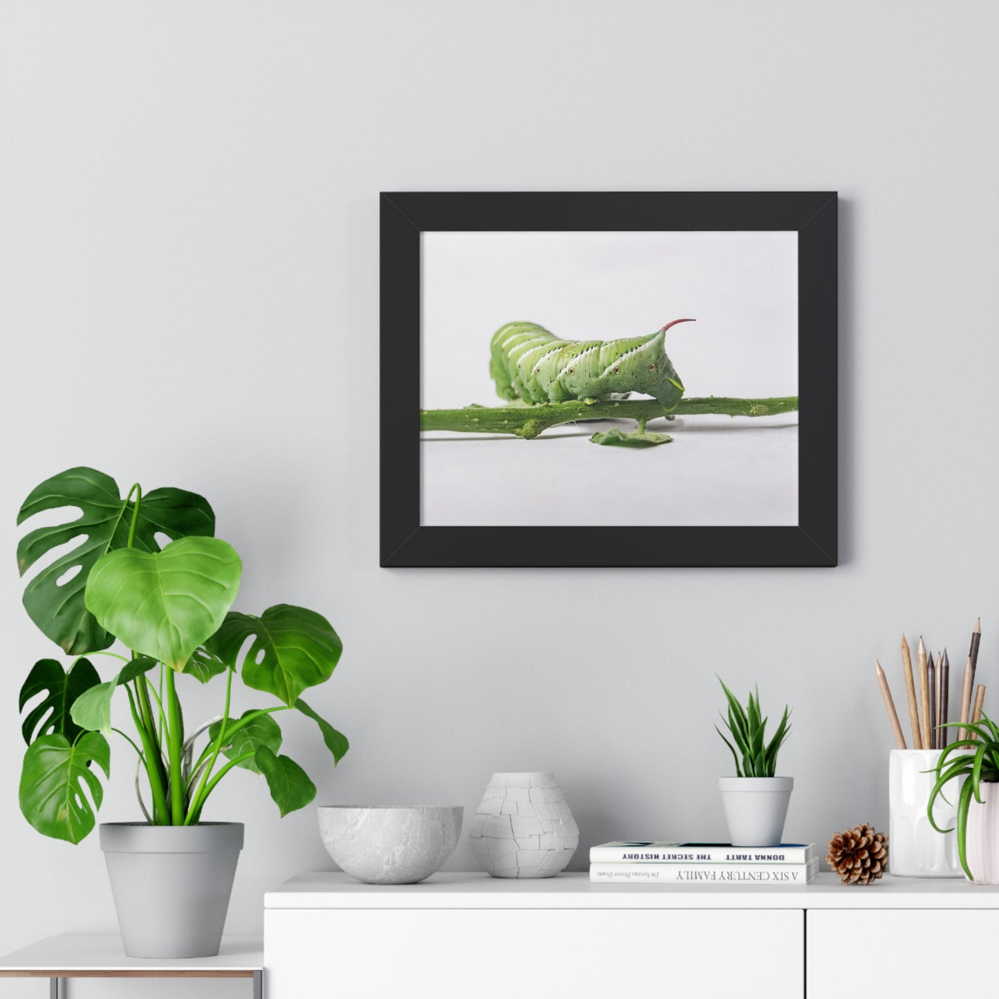 Tomato Hornworm Caterpillar Framed Matte Print