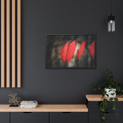 Leaves of Red Framed Fine Art Photograph