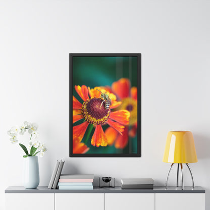 Fashionable Sweat Bee Framed Fine Art Photograph