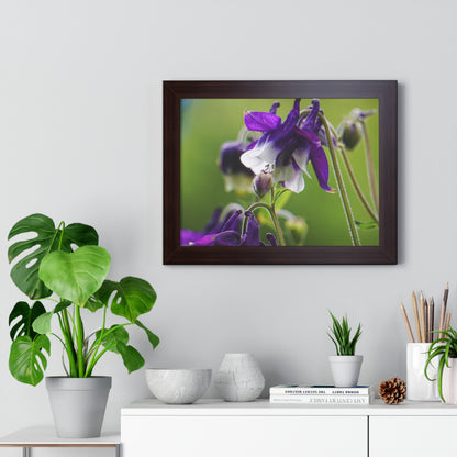 Spring Blooms Framed Matte Print