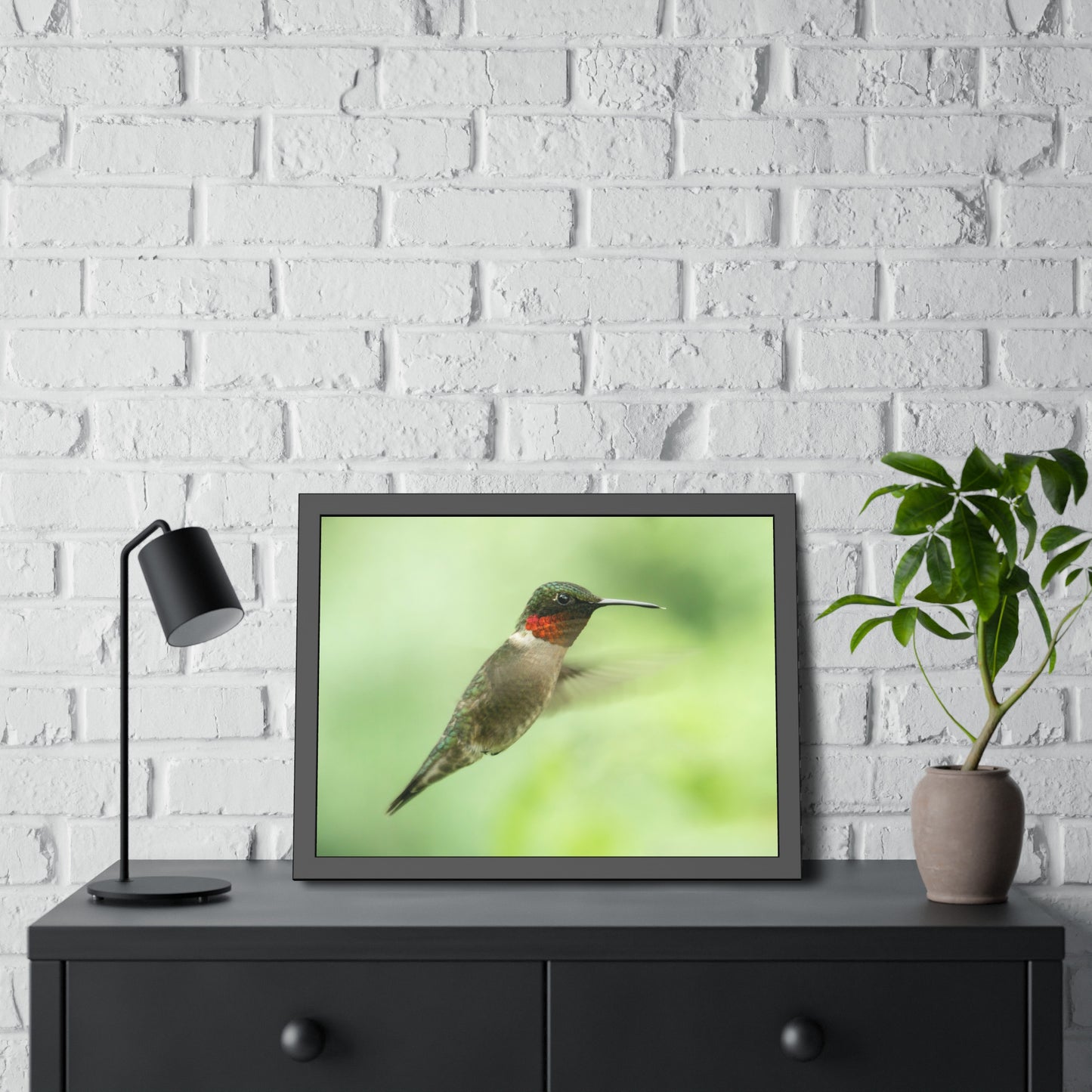 Hummingbird In-Flight Framed Print | Nature Photography