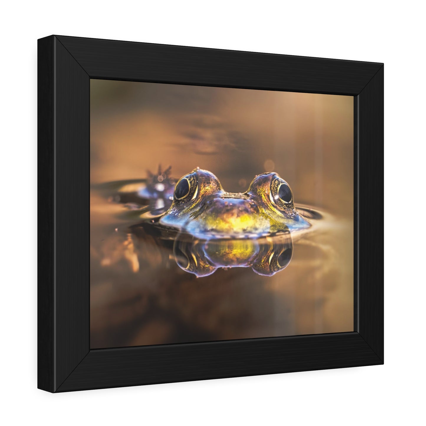 Duality of Frog Framed Print | Nature Photography