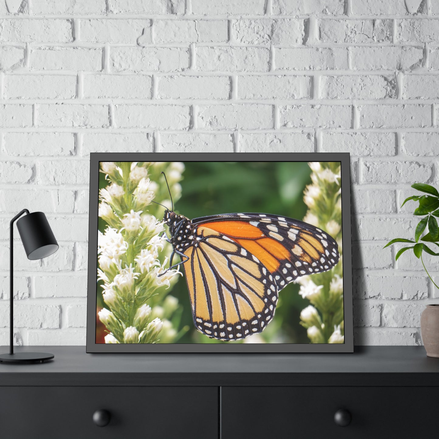 Monarch Butterfly in Garden Framed Print | Nature Photography