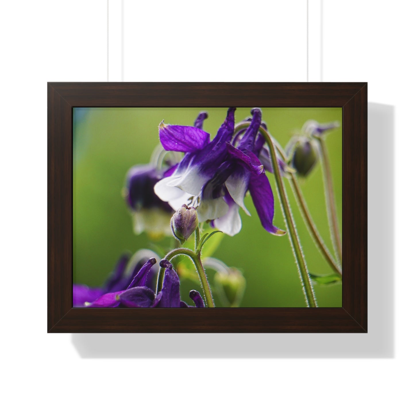 Spring Blooms Framed Matte Print