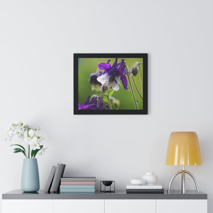 Spring Blooms Framed Matte Print