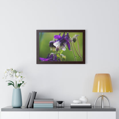 Spring Blooms Framed Matte Print