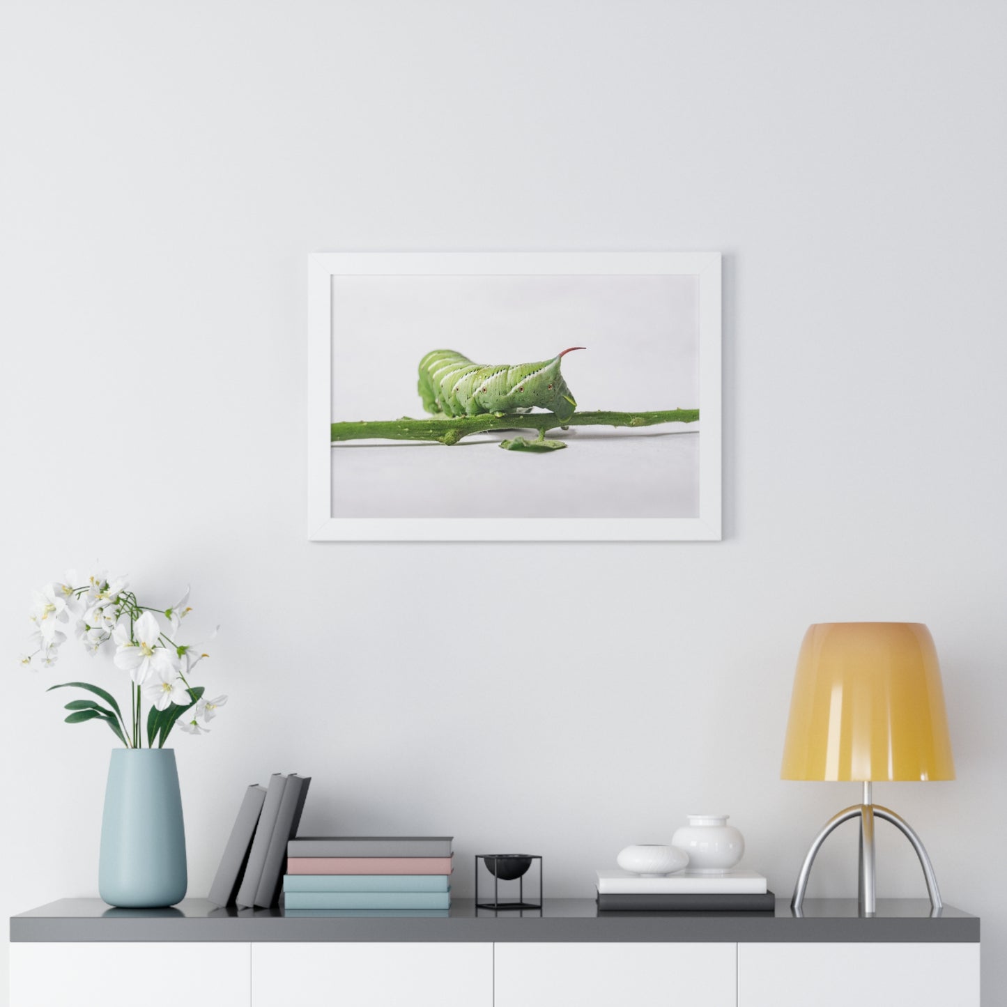 Tomato Hornworm Caterpillar Framed Matte Print