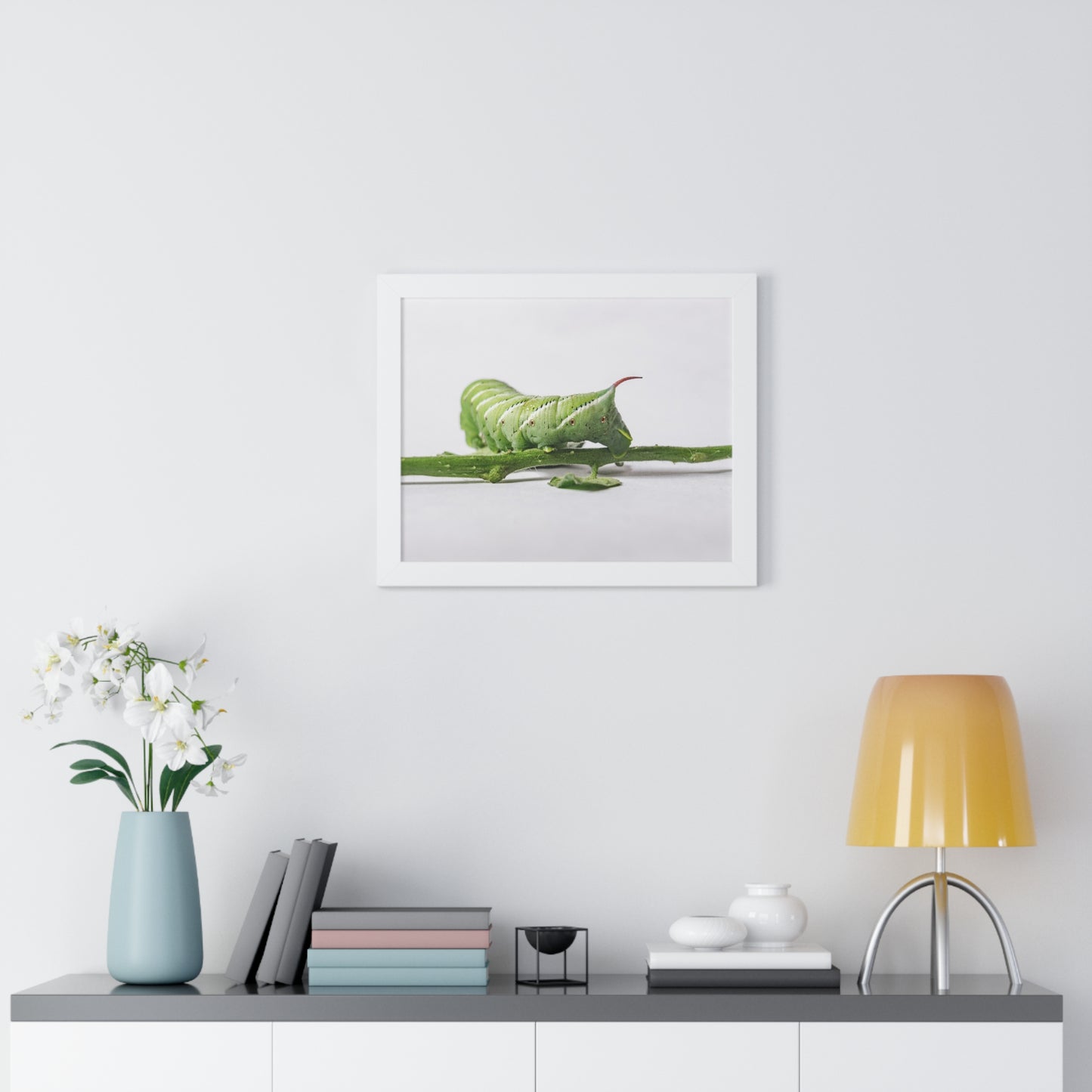 Tomato Hornworm Caterpillar Framed Matte Print