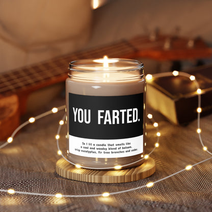 You Farted 9oz Candle (multiple scents)