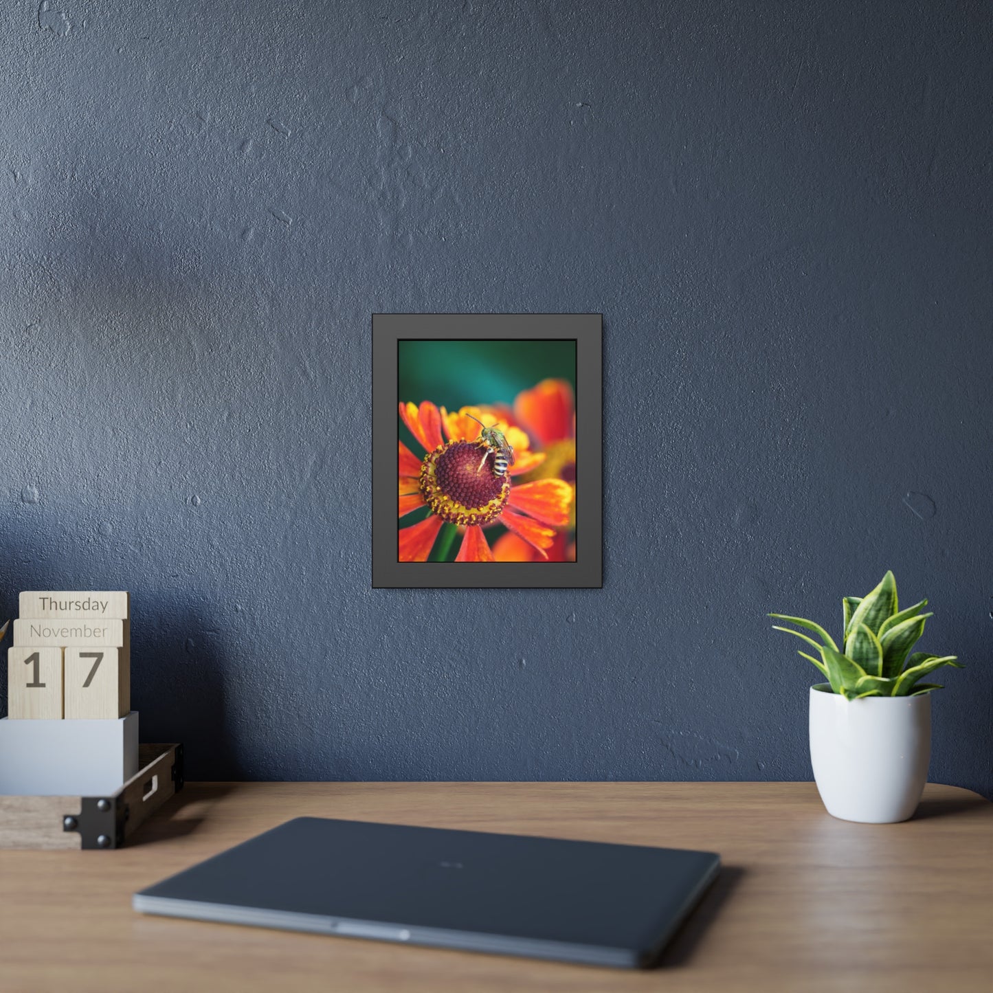 Fashionable Sweat Bee Framed Print | Nature Photography