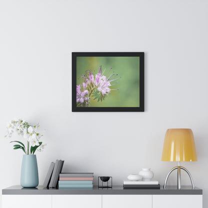 Macro Purple Wildflowers Framed Matte Print