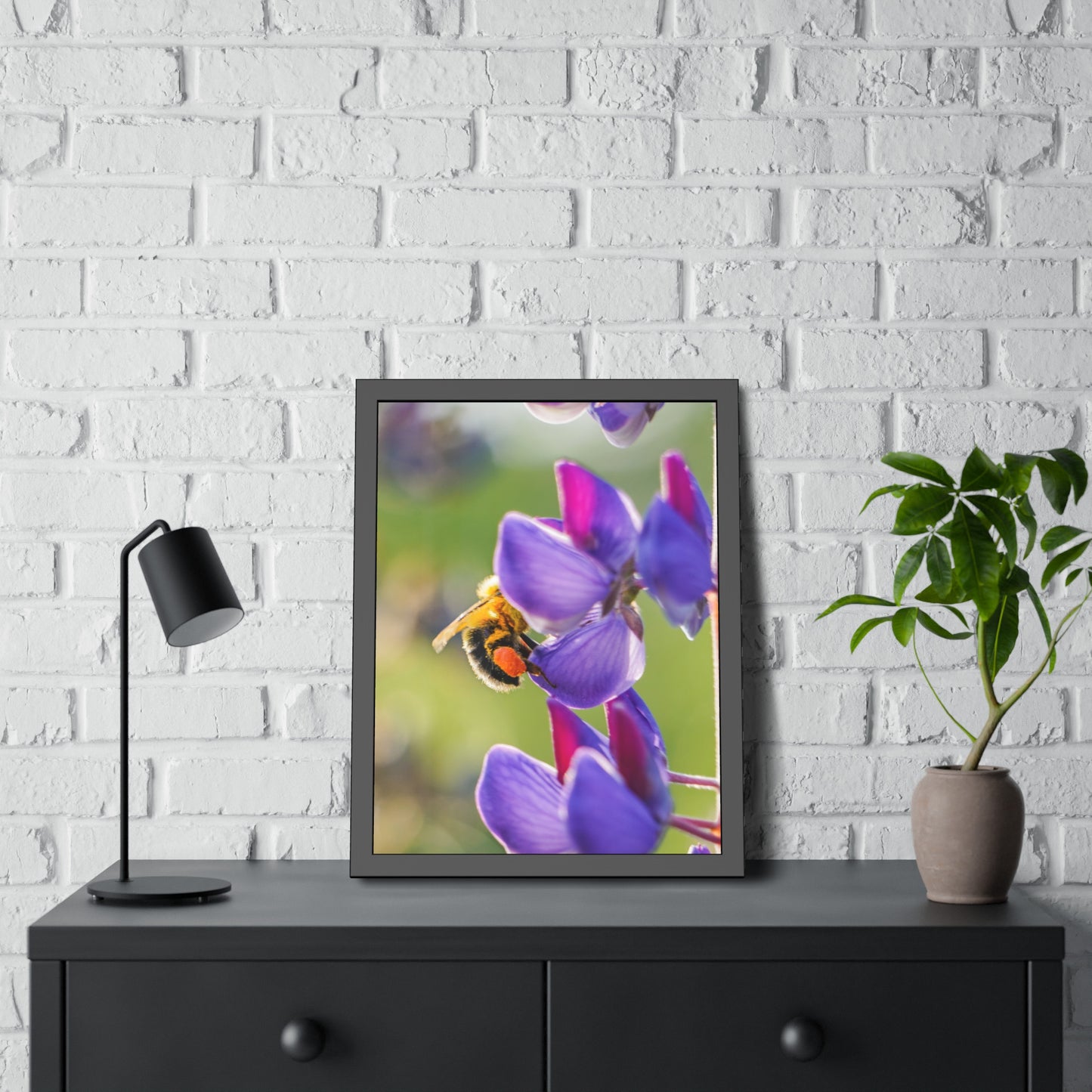 Bumble Bee Pollinates Lupine Flowers Framed Print | Nature Photography