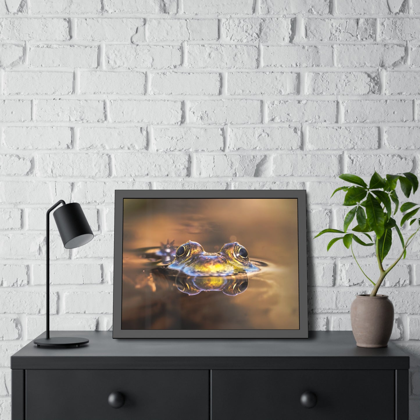 Duality of Frog Framed Print | Nature Photography