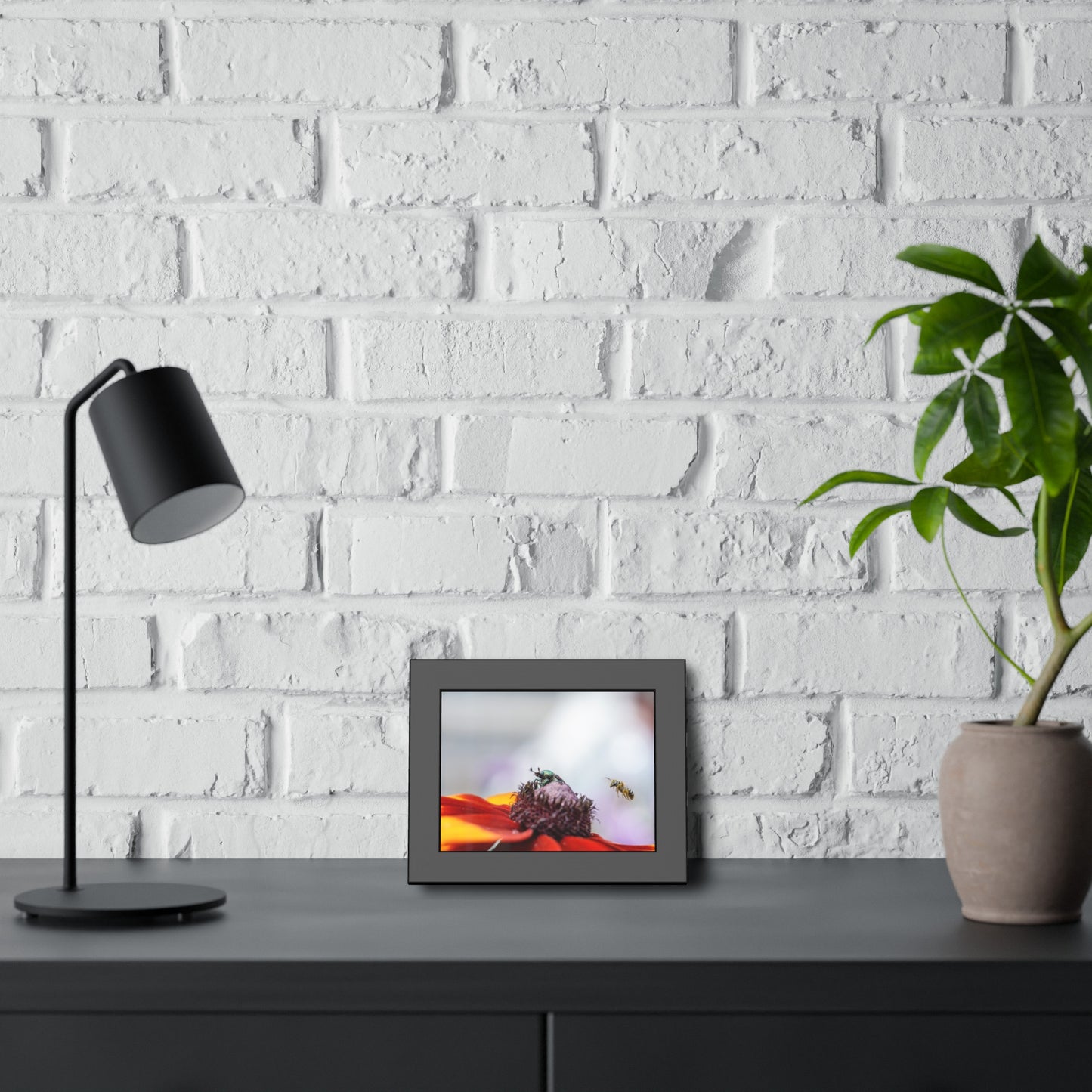 Japanese Beetle and Honey Bee Framed Print | Nature Photography