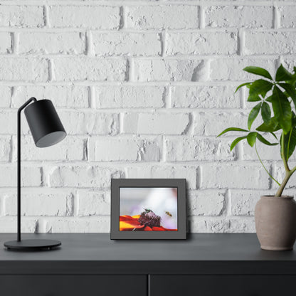 Japanese Beetle and Honey Bee Framed Print | Nature Photography