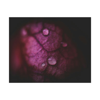 Macro Droplet on Red Leaf Fine Art Print