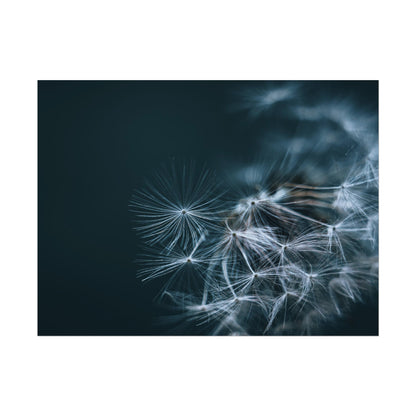 Macro Moody Dandelion Fine Art Print