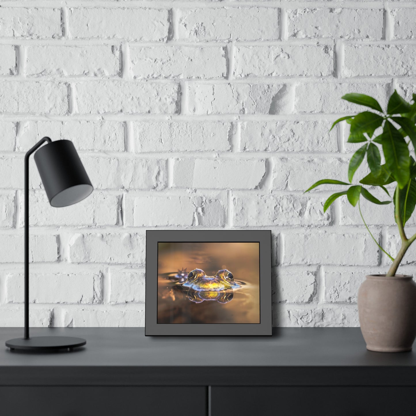 Duality of Frog Framed Print | Nature Photography