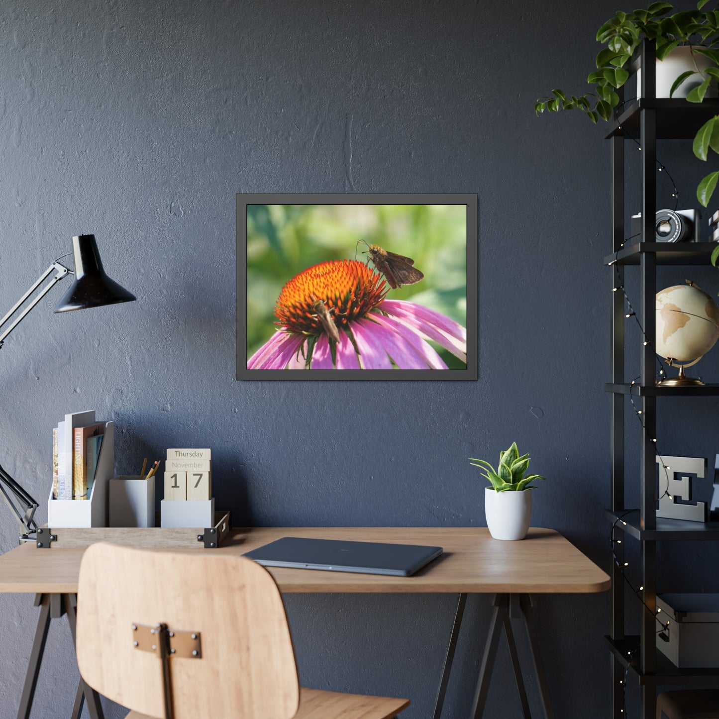Little Glassywing Butterfly Framed Print | Nature Photography
