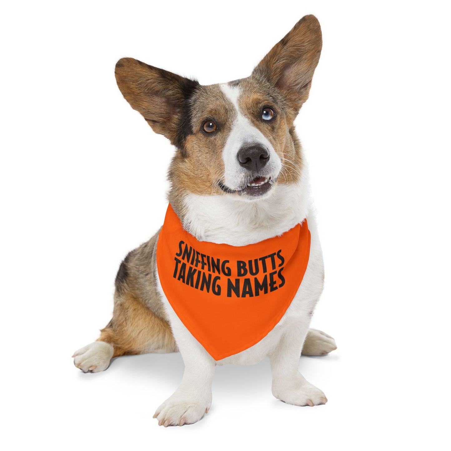 Sniffing Butts Taking Names Safety Orange Pet Bandana