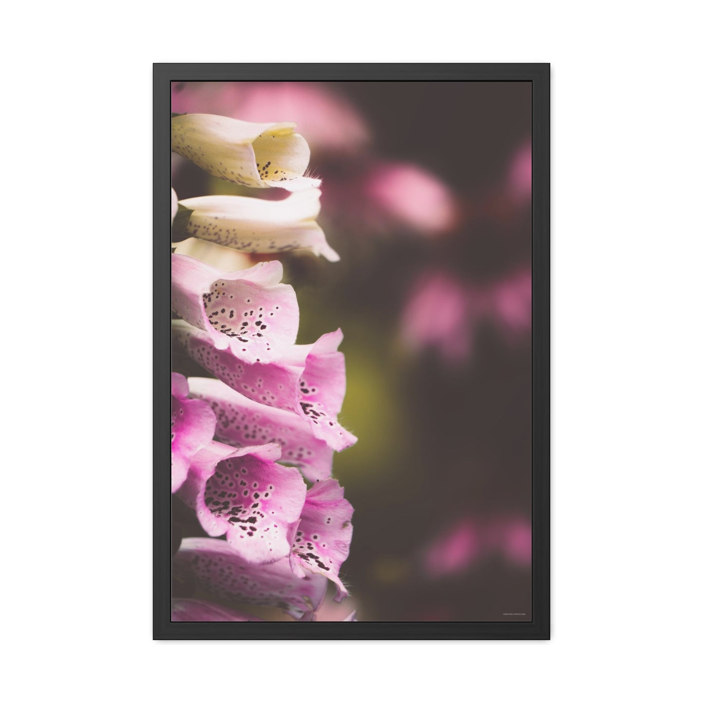 Foxglove Flowers Framed Fine Art Photograph