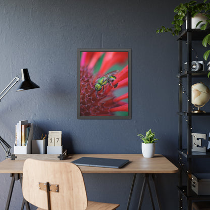 Beautiful Green Bee Framed Print | Nature Photography