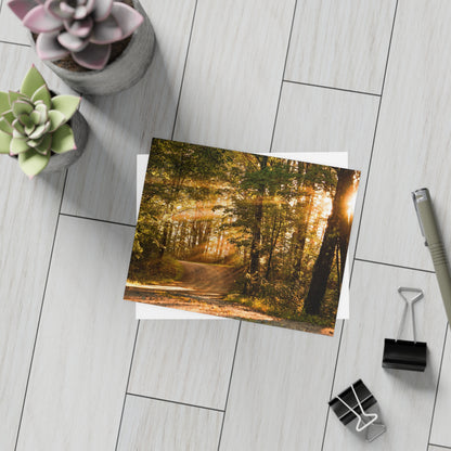 Sunbeams Streaming Onto Forest Path Blank Card Bundles (w/envelopes)