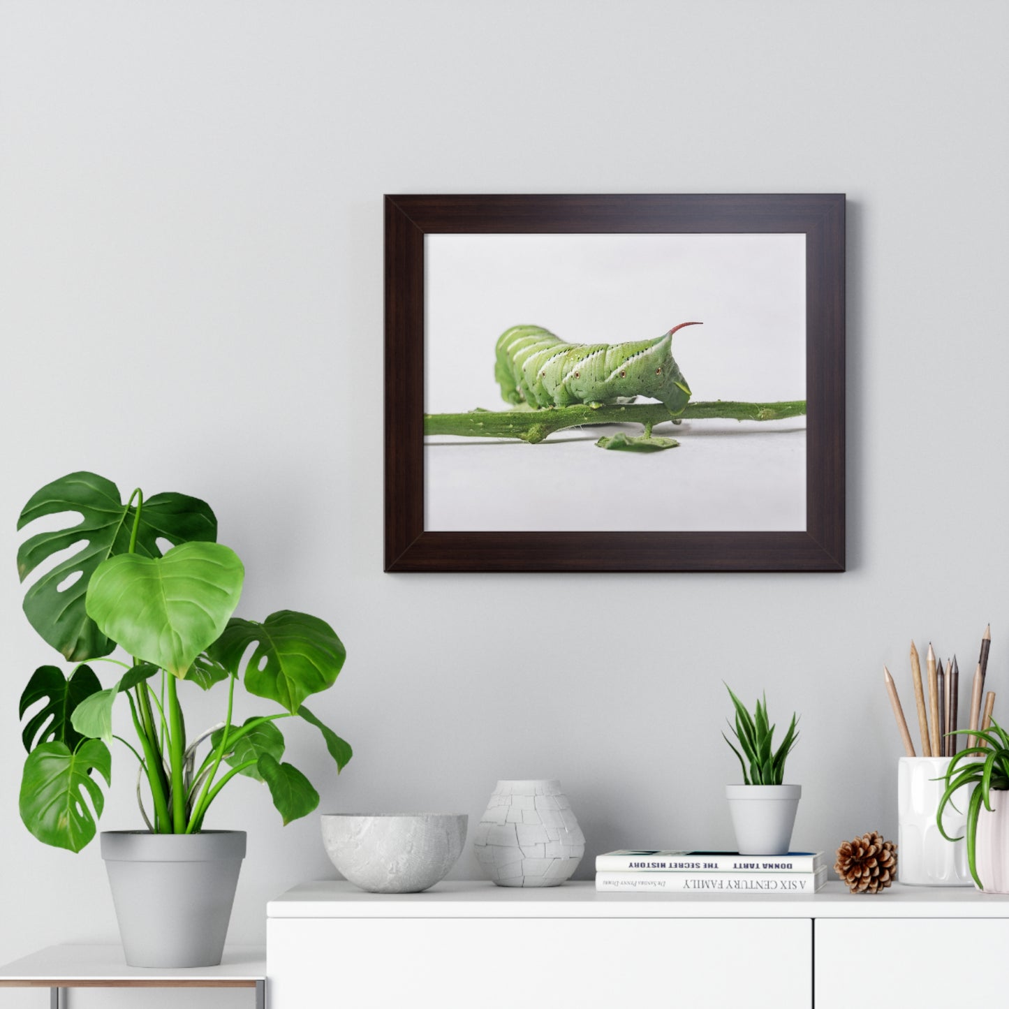 Tomato Hornworm Caterpillar Framed Matte Print